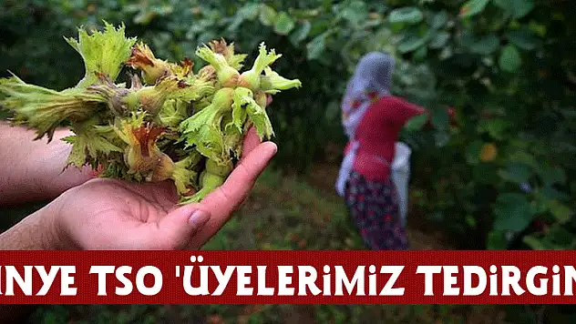 Ünye TSO: 'Üyelerimiz tedirgin'