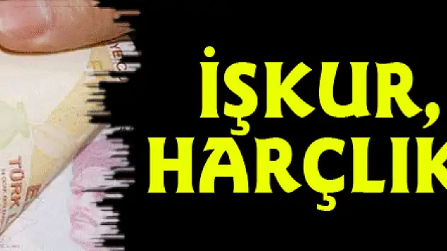 İŞKUR, 45 Lira Harçlık Verecek