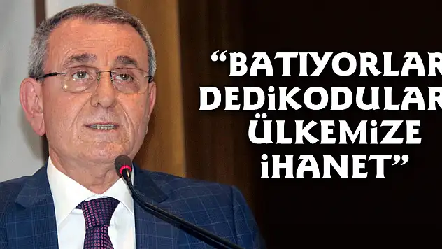 Murzioğlu: 'Batıyorlar dedikoduları ülkemize ihanet'