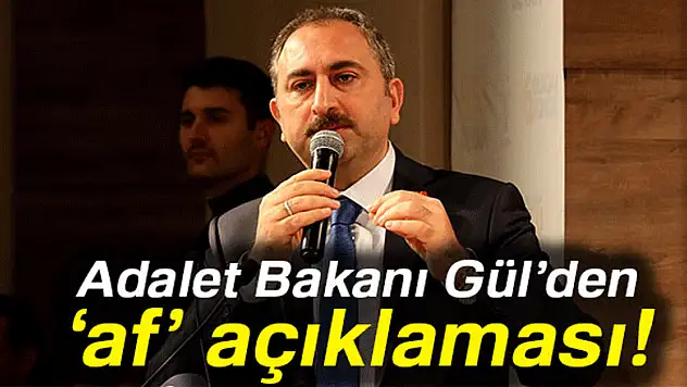 Bakan Gül'den 'af' açıklaması: