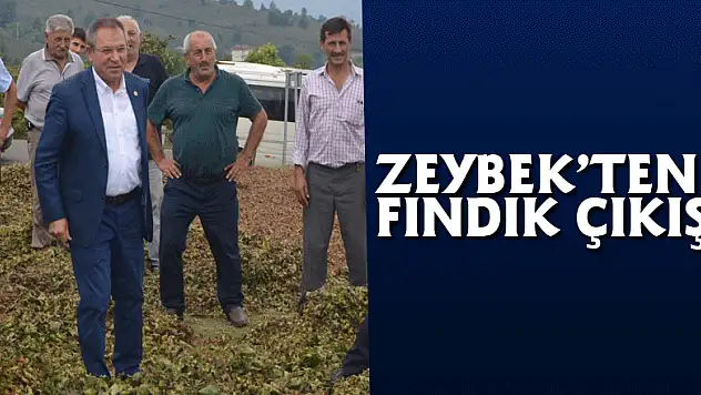 Zeybek'ten Fındık çıkışı