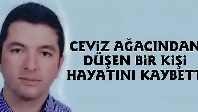 Ceviz ağacından düşen bir kişi hayatını kaybetti