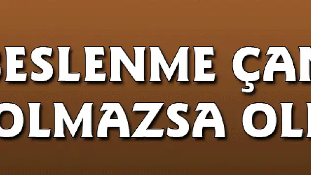 Beslenme çantasının olmazsa olmazları