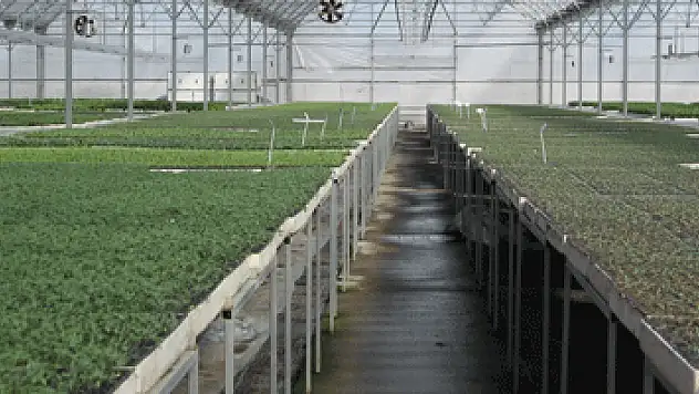 TARSİM'DEN SERA SİGORTASI UYARISI!