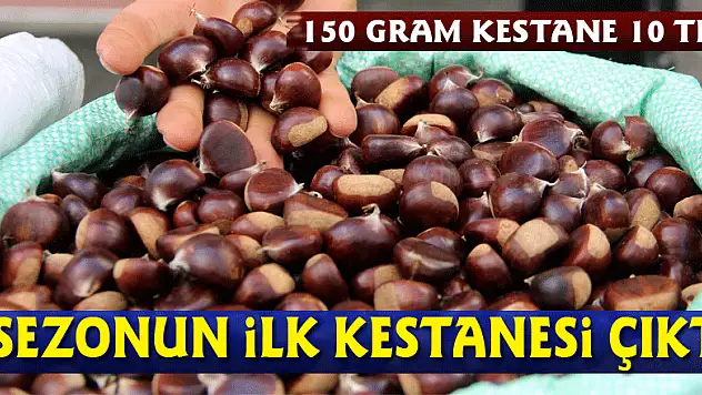 Sezonun ilk kestanesi çıktı