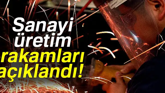Sanayi üretimi Temmuz'da yüzde 5,6 arttı