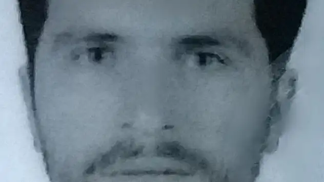 Ceviz ağacından düşen inşaat işçisi öldü 