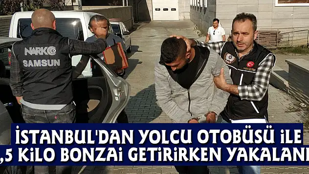İstanbul'dan yolcu otobüsü ile 1,5 kilo bonzai getirirken yakalandı