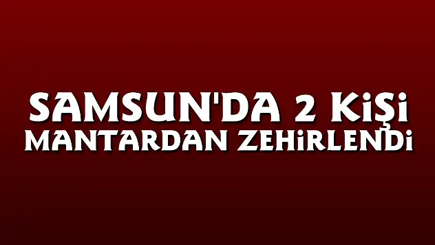 Samsun'da 2 kişi mantardan zehirlendi