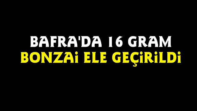 Bafra'da 16 gram bonzai ele geçirildi