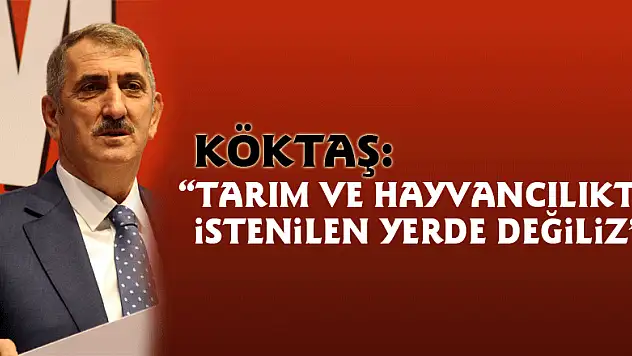 Köktaş: 'Tarım ve hayvancılıkta istenilen yerde değiliz'