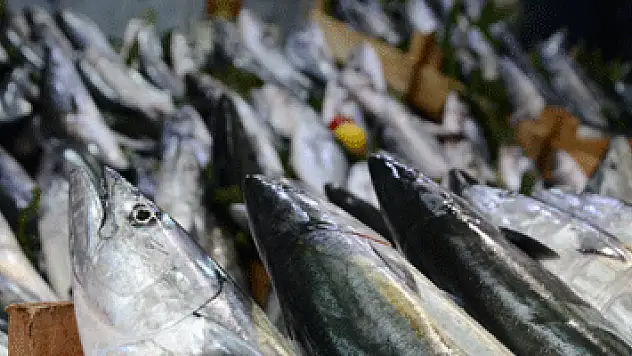 Türkiye balığa yöneldi, palamut fiyatı 3'e katlandı