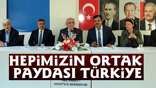 'Hepimizin ortak paydası Türkiye'