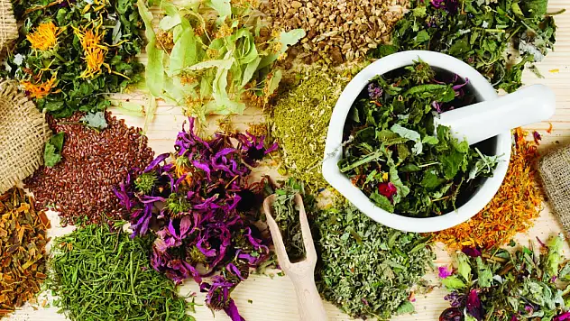 Bitkisel ilaçlar doktor kontrolünde alınmalı