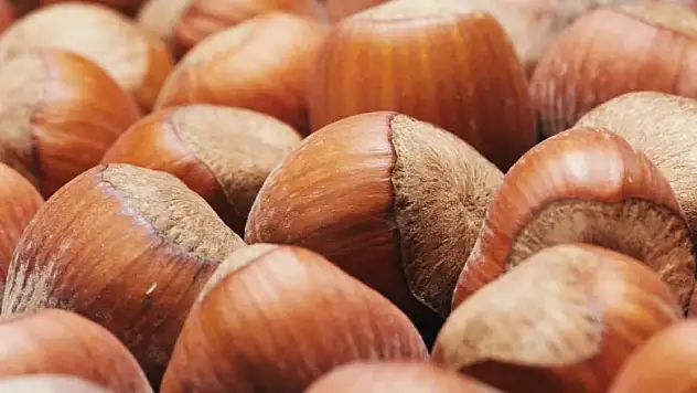 Fındık ihracatı düştü