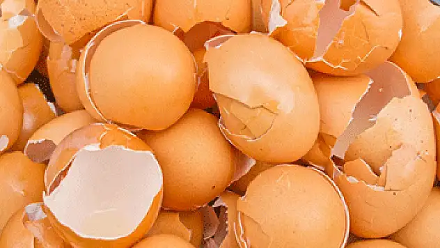 Yumurta kabuğu zarı eklem ağrılarını azaltıyor