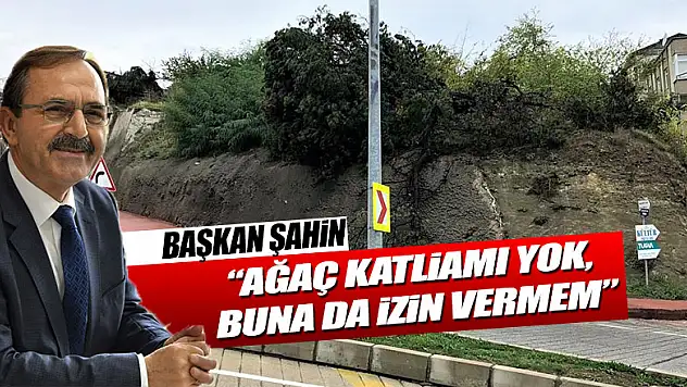  'Ağaç katliamı yok, buna da izin vermem'