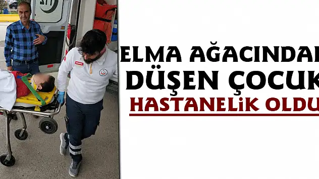Elma ağacından düşen çocuk hastanelik oldu