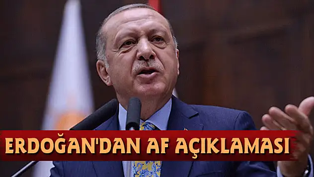 Erdoğan'dan af açıklaması