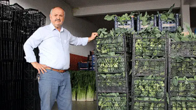 Samsunlu komisyoncular: 'Arz talep doğrultusunda fiyatlar belirlenir'