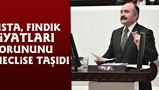Usta, fındık fiyatları sorununu meclise taşıdı