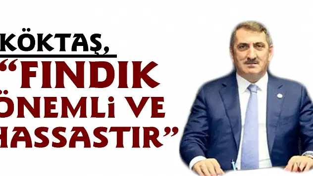 Köktaş, 'Fındık önemli ve hassastır'