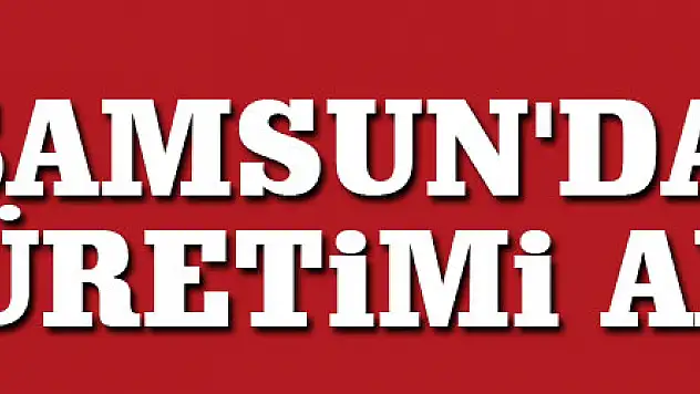 Samsun'da çilek üretimi artıyor