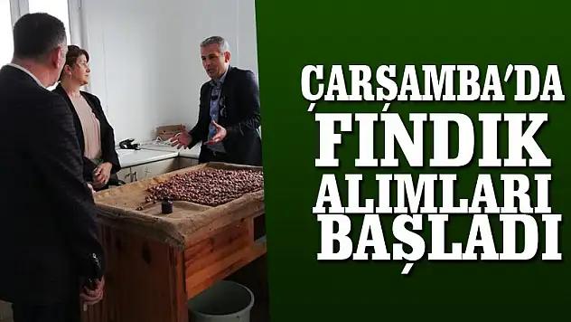 Çarşamba'da fındık alımları başladı