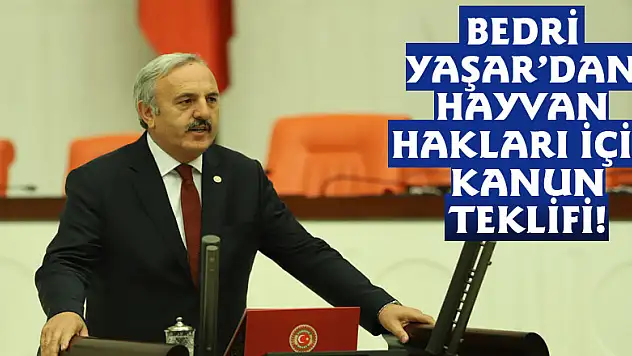 BEDRİ YAŞAR'DAN HAYVAN HAKLARI İÇİN KANUN TEKLİFİ!