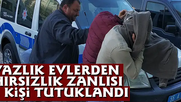Yazlık evlerden hırsızlık zanlısı 2 kişi tutuklandı