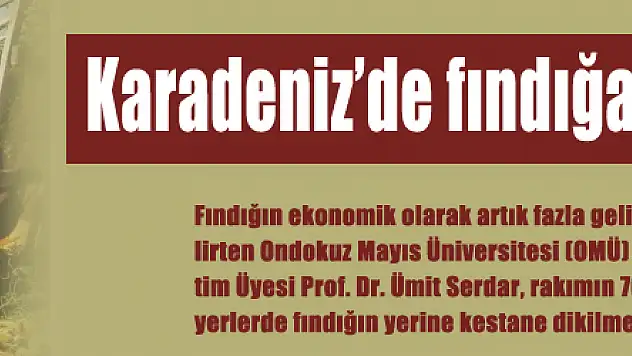 Karadeniz'de fındığa alternatif kestane 