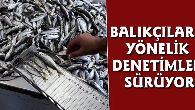 Balıkçılar denetlendi 