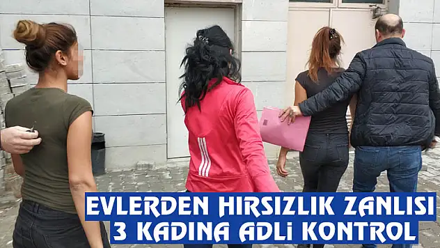 Evlerden hırsızlık zanlısı 3 kadına adli kontrol