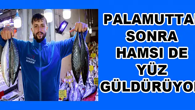  Palamuttan sonra hamsi de yüz güldürüyor 