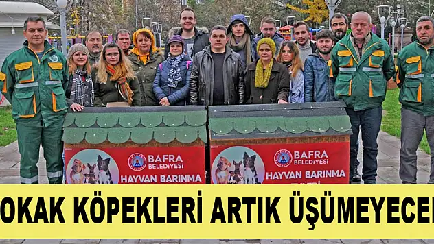 Sokak köpekleri artık üşümeyecek 