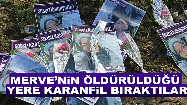 Merve'nin öldürüldüğü yere karanfil bıraktılar