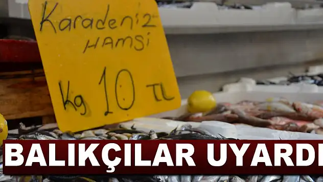 Balıkçılar uyardı: Hamsi fiyatı yükselişe geçebilir