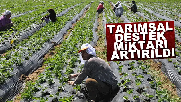 Tarımsal destek miktarı artırıldı