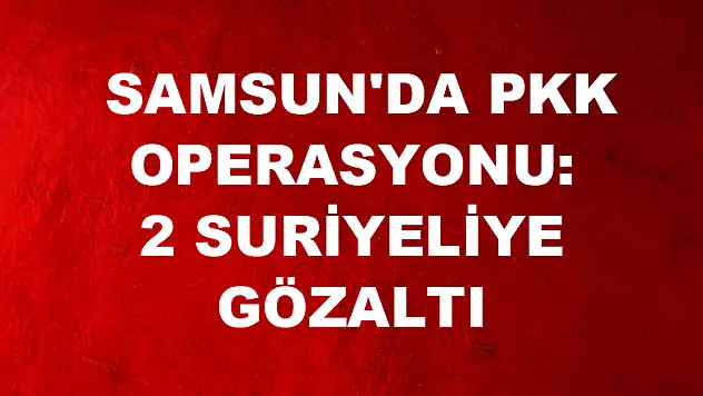  Samsun'da PKK operasyonu: 2 Suriyeliye gözaltı 
