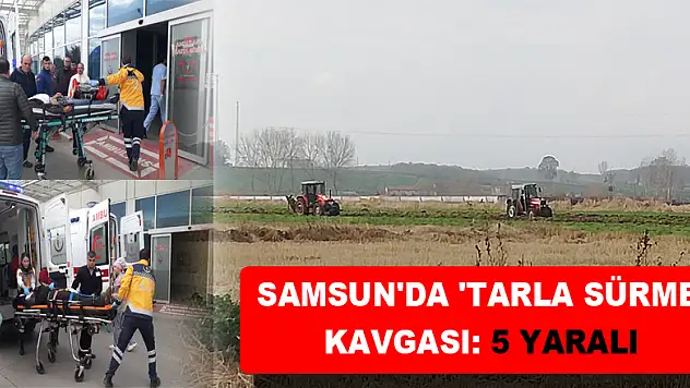Samsun'da 'tarla sürme' kavgası: 5 yaralı 