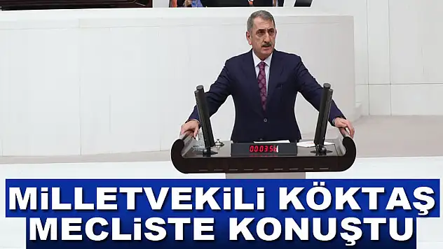 Milletvekili Köktaş Mecliste konuştu