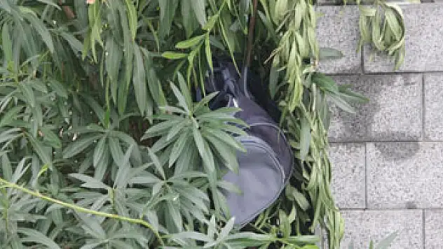 Şüpheli valiz paniği