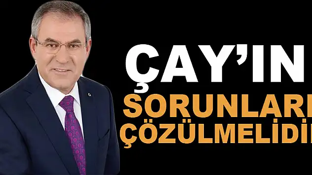 ÇAY'IN SORUNLARI ÇÖZÜLMELİDİR