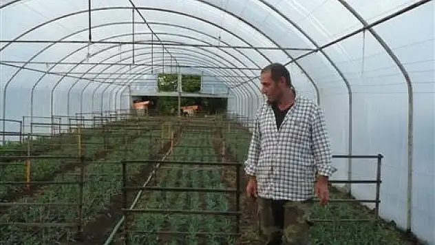 Tütünün yerini alternatif ürünler aldı