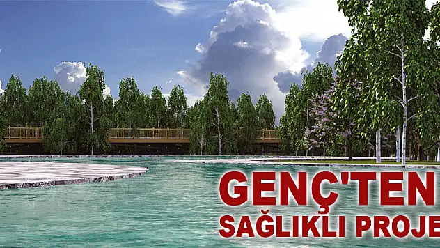 Genç'ten sağlıklı proje