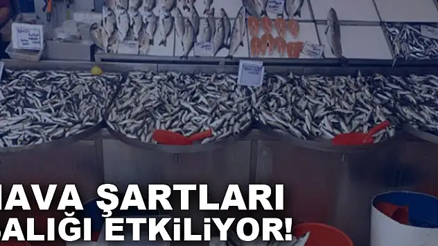 Hava şartları balığı etkiliyor!