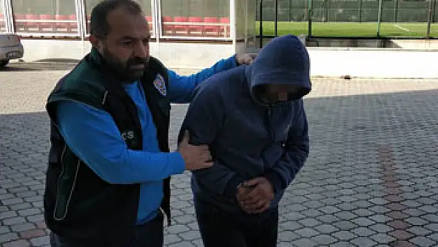 Samsun'da bonzai ticaretine gözaltı