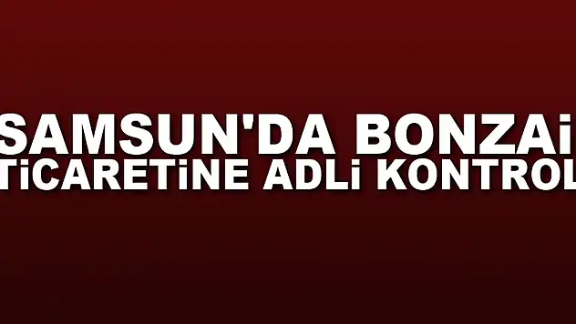 Samsun'da bonzai ticaretine adli kontrol