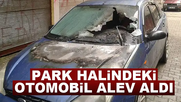 Park halindeki otomobil alev aldı