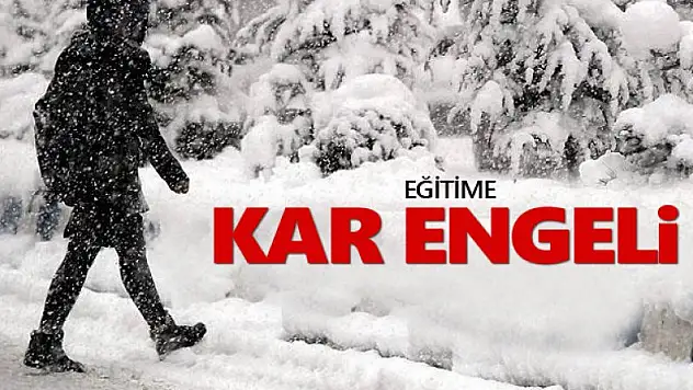 Samsun'da eğitime kar engeli 